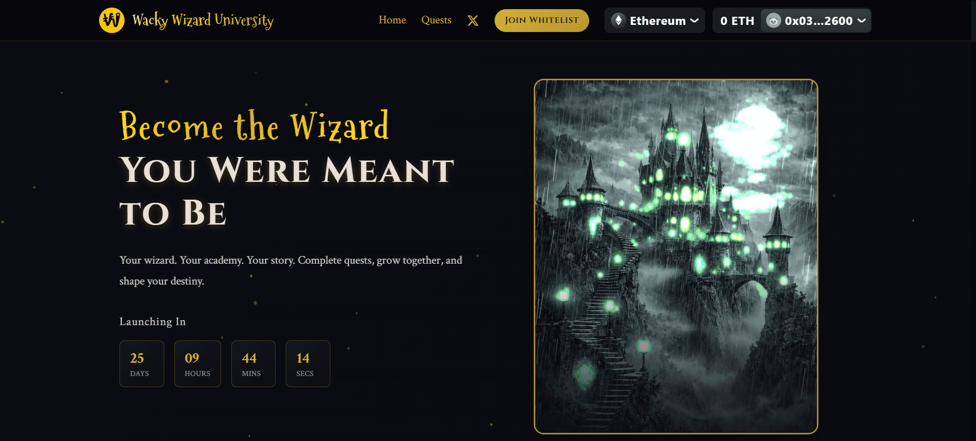 showcase_wackywizarduni